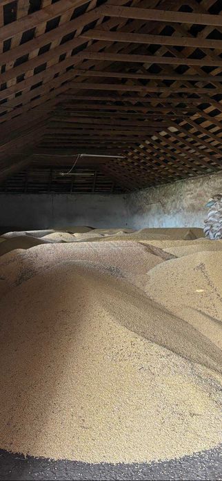 Продам СОЮ ГМО 2025 Року 320о.