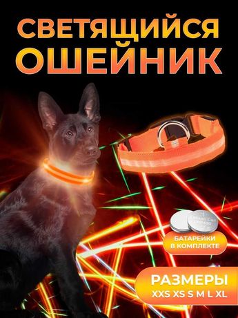 Светящийся LED-ошейник для собак и кошек 41-52 см  (Разные цвета)