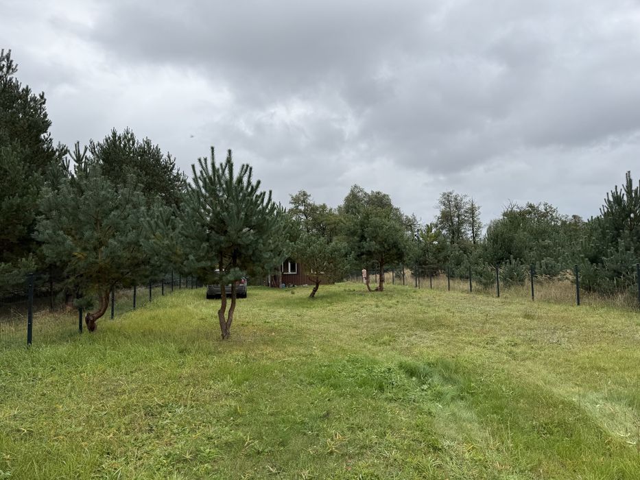 Dzialka rekreacyjna nad jeziorem Wilczyńskim pierwsza linia brzegowa