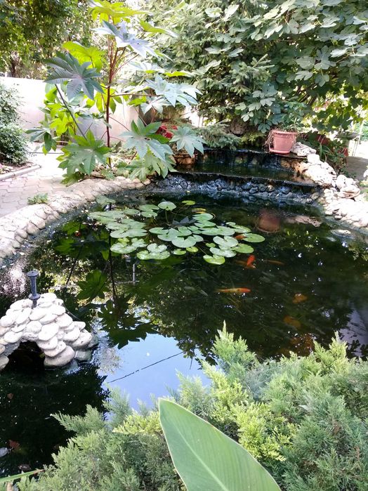 Сдам уютные комнаты у Золотого Берега — без посредников, от хозяйки!