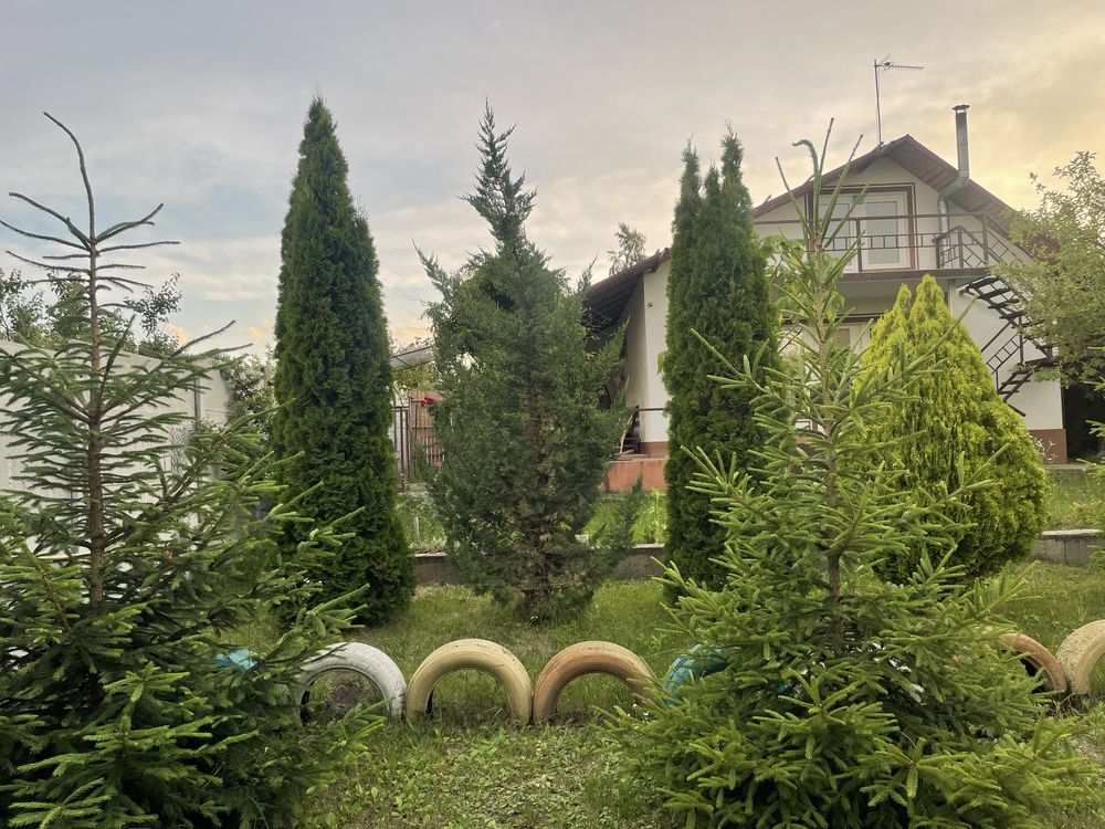 Продам дом в с. Старые Кодаки