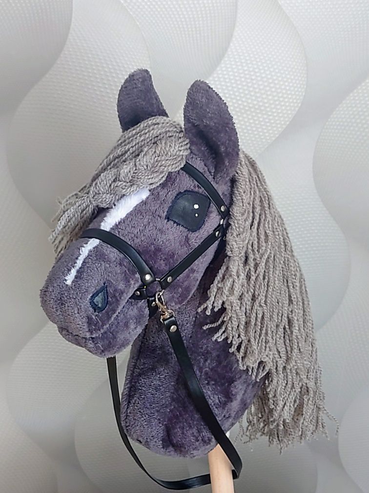 Hobby horse konik