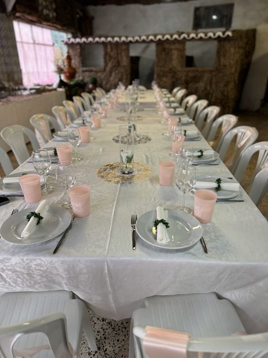 Pratos, Talheres e Copos - Negociável