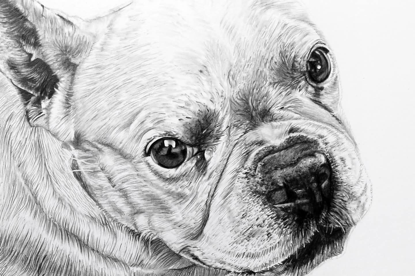 Desenhos realistas e hiper-realistas