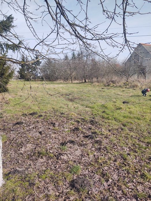 Dom okolice Złotnik Kujawskich 75000zł