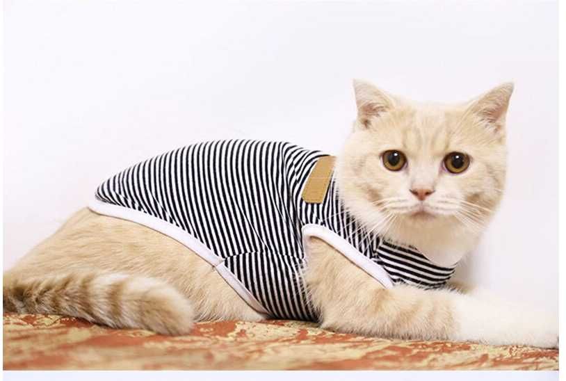 Зоотовари для котів та маленьких собак, переноска, одяг тощо