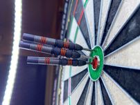 Lotki steel Target Raymond van van Barneveld RVB Black 80% SP