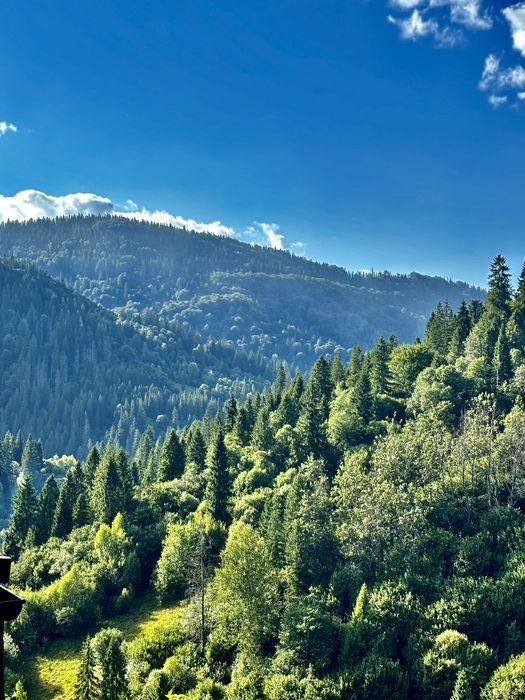 На Новий Рік Відпочинок У Карпатах с.Волосянка (Славське)