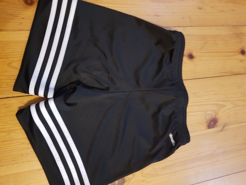 Spodenki adidas climate 14o