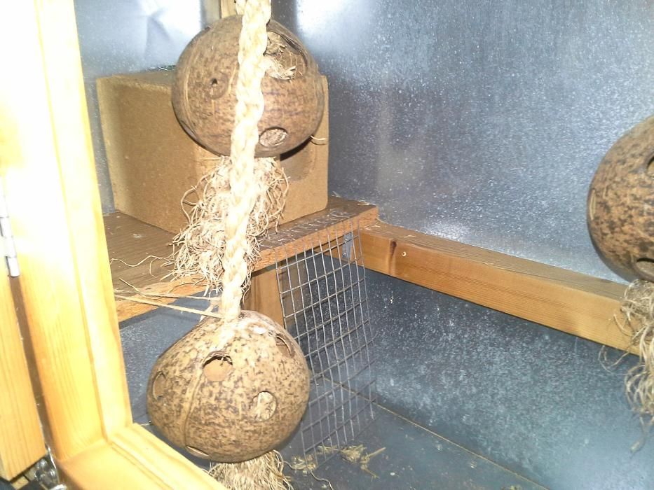 Gaiola para Esquilos