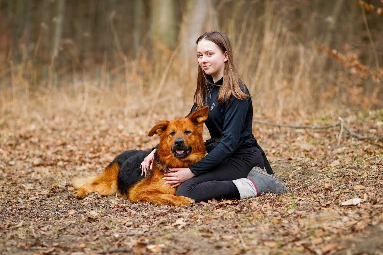 DASTI - 4-letni OWCZAREK niemiecki z krzywą łapą. [FILMIKI]