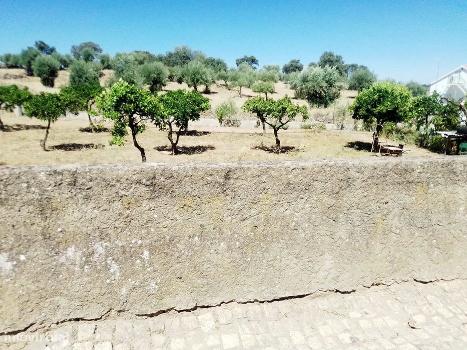 Terreno Rústico em Zebreira| Segura | Idanha-a-Nova