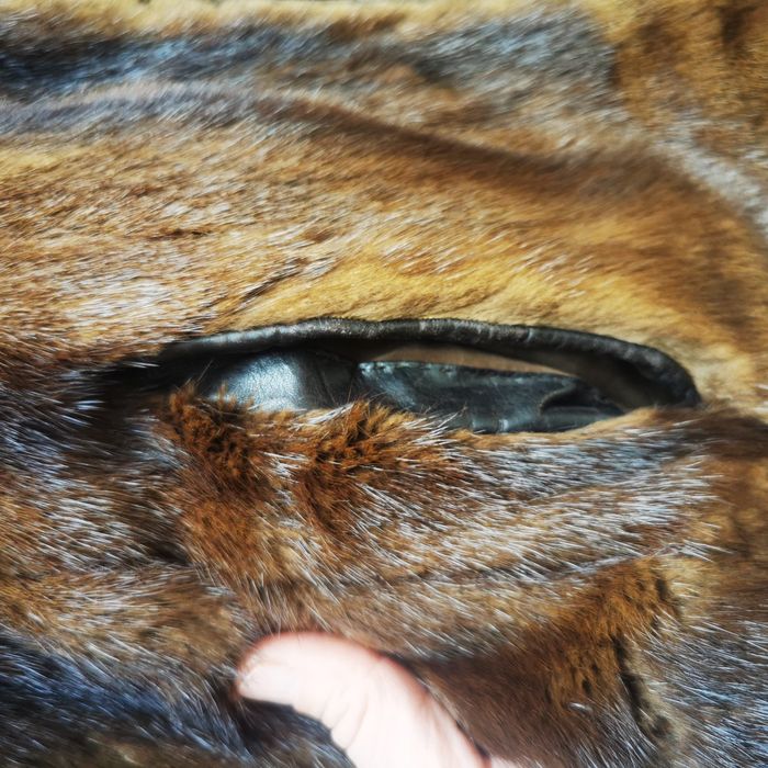 Продам полушубок Норка