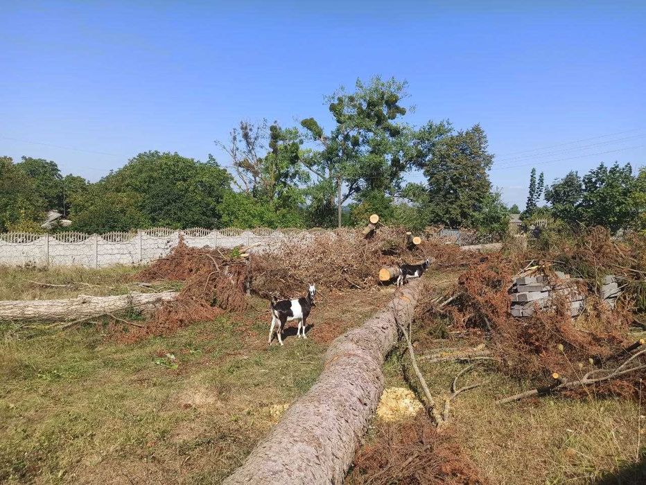 Продаж Комерційного приміщення з унікальним потенціалом! HH