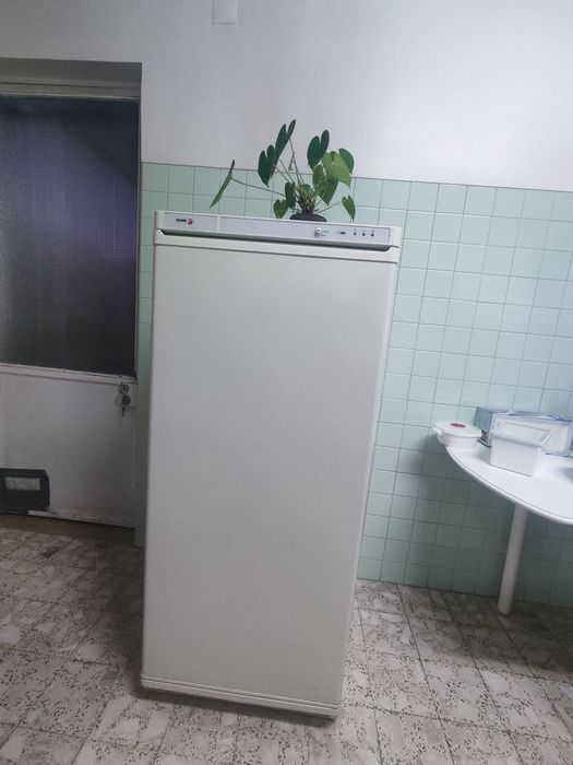 Arca congeladora vertical Fagor