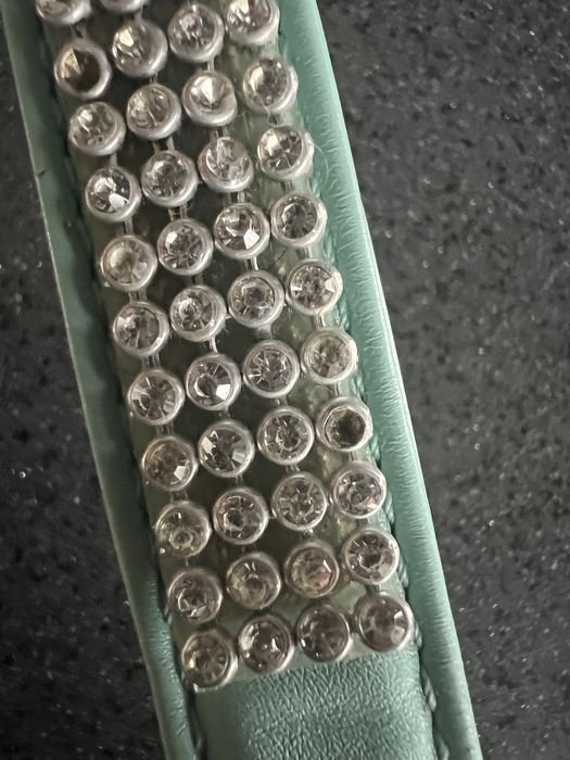 Obroza u smycz dla psa.Smycz 186 cm