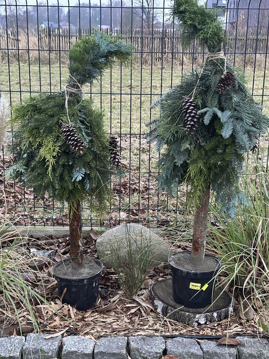 Pień w doniczcce stojak na choinkę