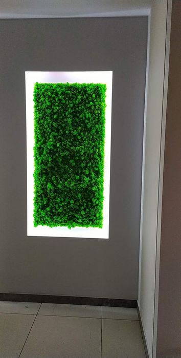 Obraz z mchu mech chrobotek reniferowy zielony obraz na wymiar wysylka