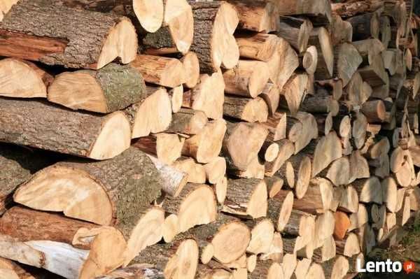Drewno kominkowe i opałowe - Różne gatunki do wyboru