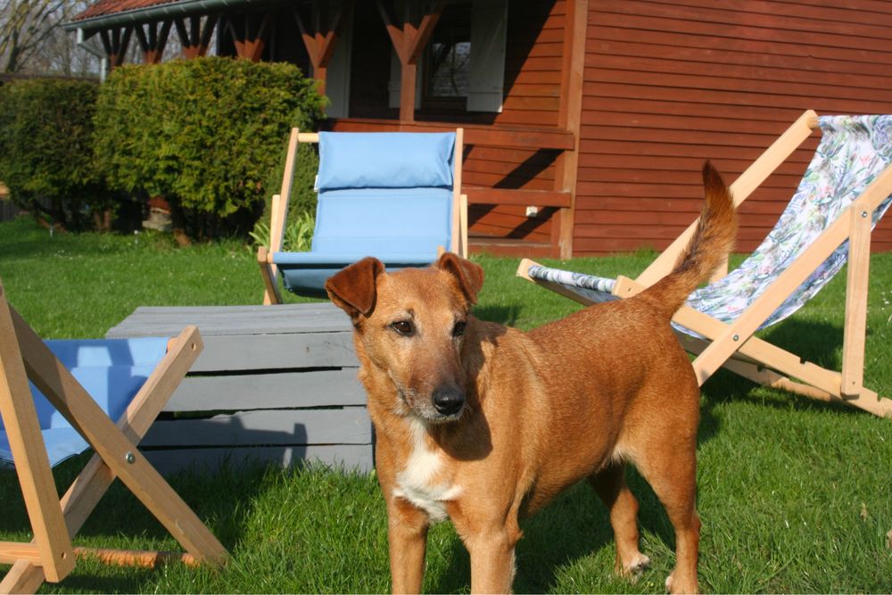Domek letniskowy na Mazurach | Noclegi | Basen | Sauna | Jacuzzi |