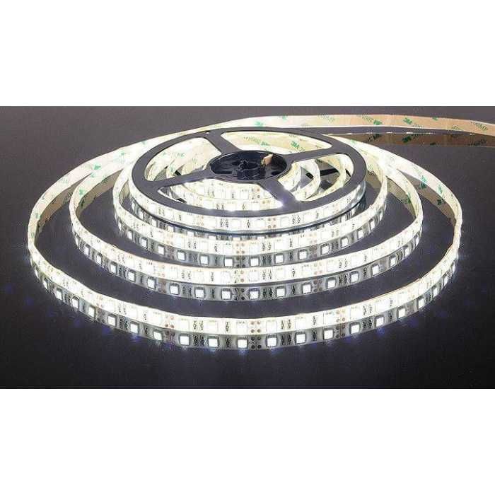 Светодиодная лента 12В SMD 5050 60 LED 6000К IP20. Эконом. 1 м.