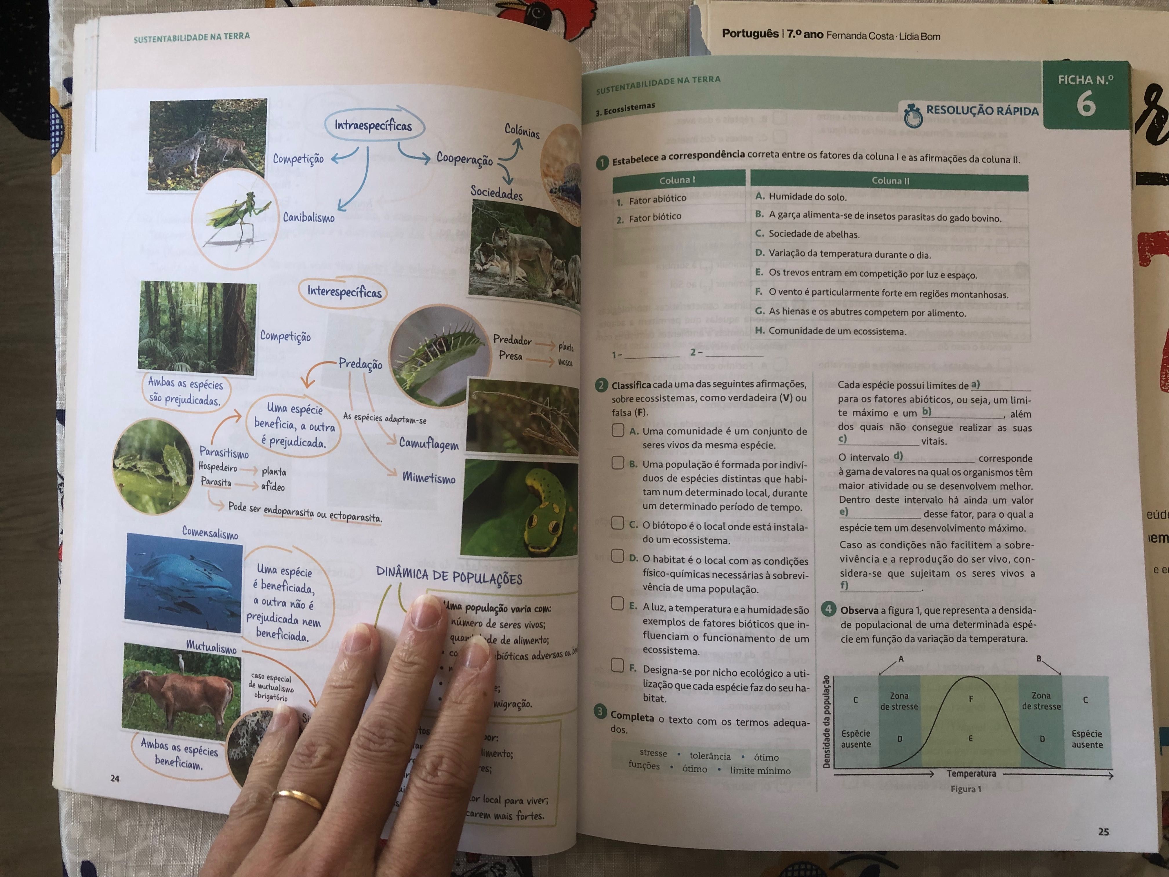 Caderno de Atividades 100% CN 8° ano