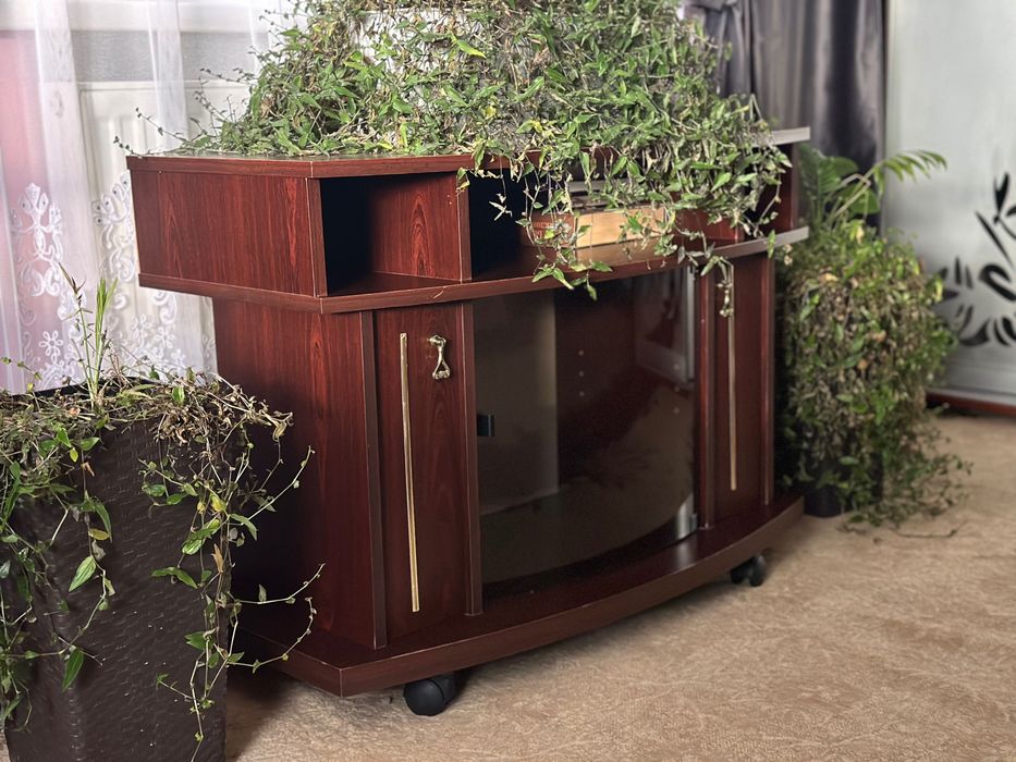 Тумбочка в хорошому стані, під телевізор чи для речей, на колесиках.