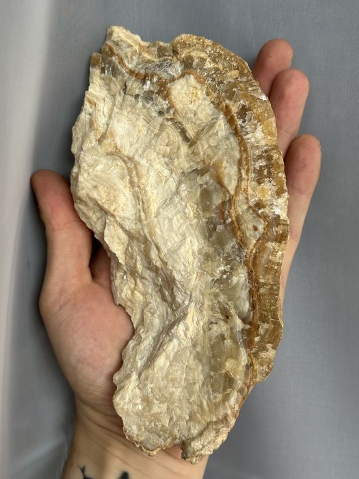 Kalcyt naciekowy 20 cm - Polski okaz