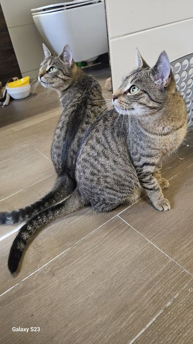 Chanel czeka na Ciebie