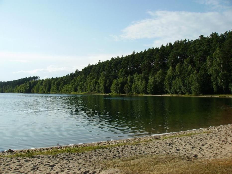 Domek dom nad jeziorem Wygonin, agroturystyka