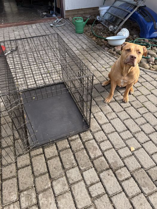 Klatka kennelowa, duza klatka dla psa