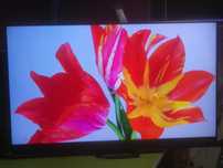 Telewizor Philips Mini led 55 cali 4K UHD ,Smart wifi, Ambiliht3 IDEAL