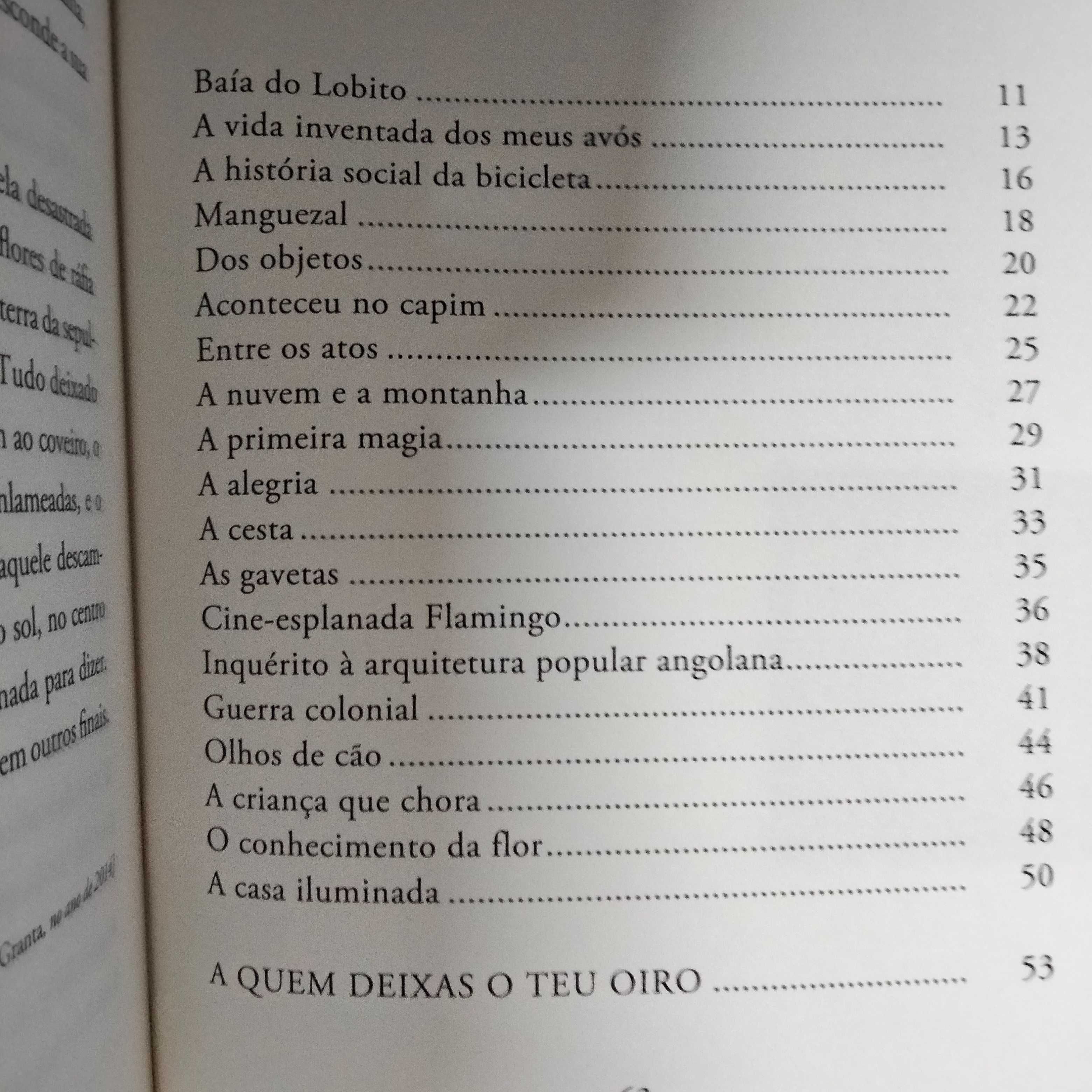 Introdução à Pintura Rupestre - José Tolentino Mendonça