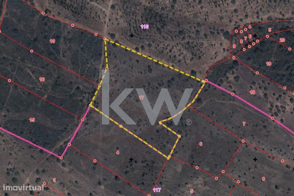 Conjunto de Terrenos Rústicos com 13288m2 em Martim Longo