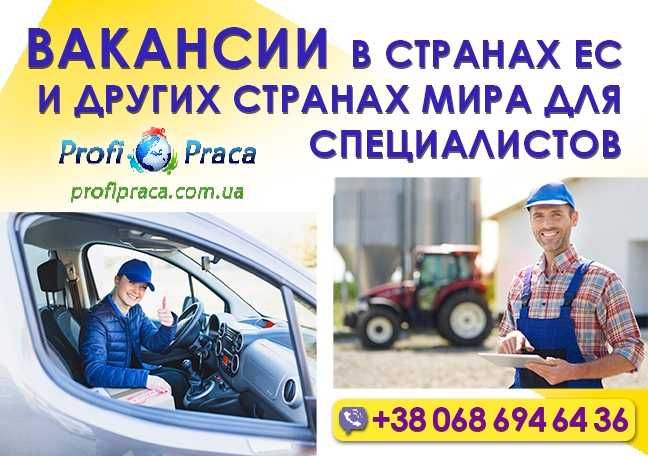 Рабочие визы, ВНЖ, ПМЖ, легализация и гражданство в странах Европы!