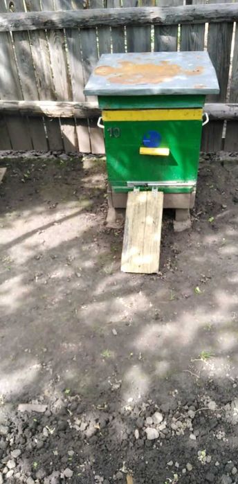 Продам пчёл (пасика)