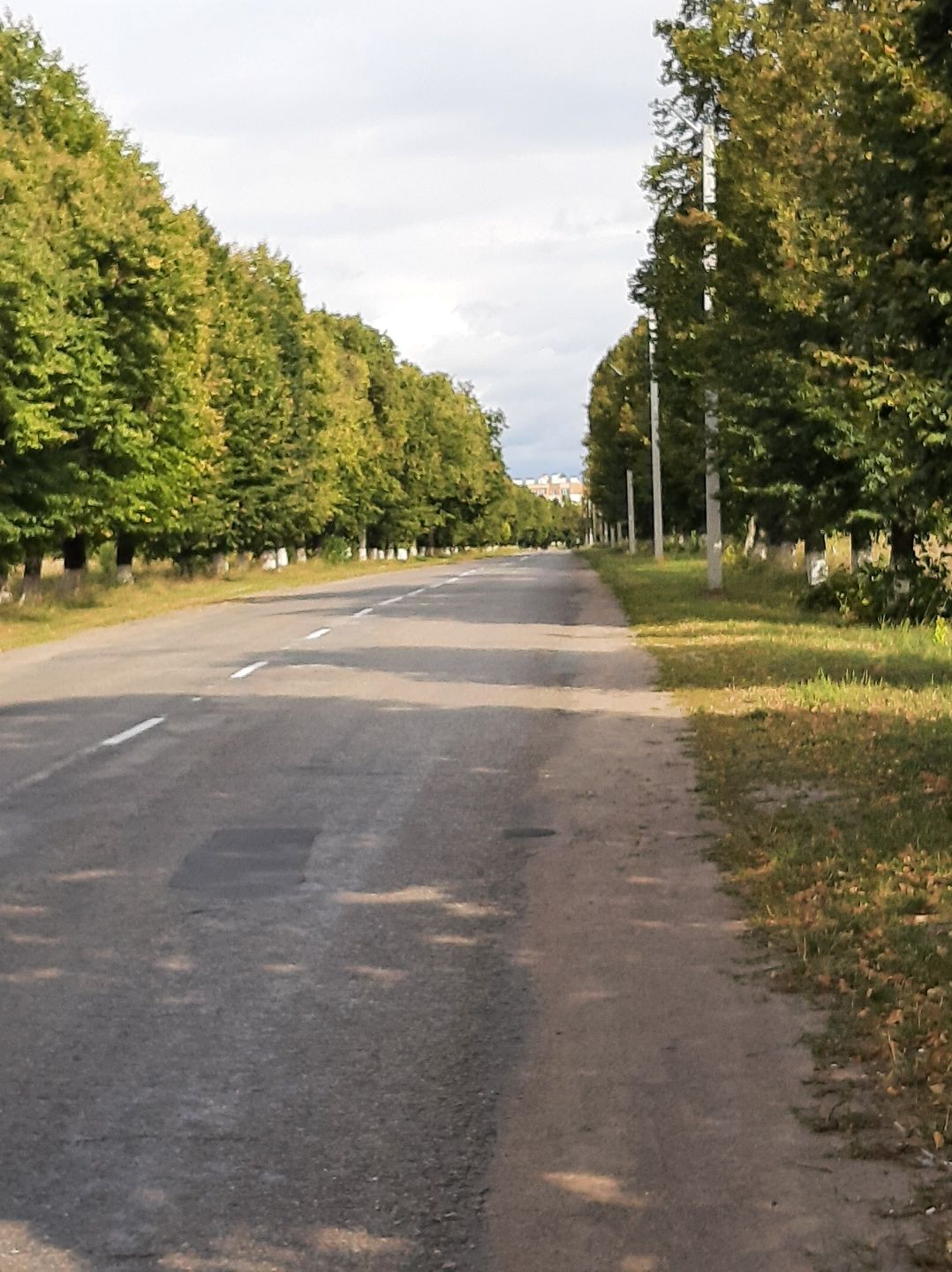 Продаж земельної ділянки по вул.Липовій, Дмитрівка, Бучанського р-н