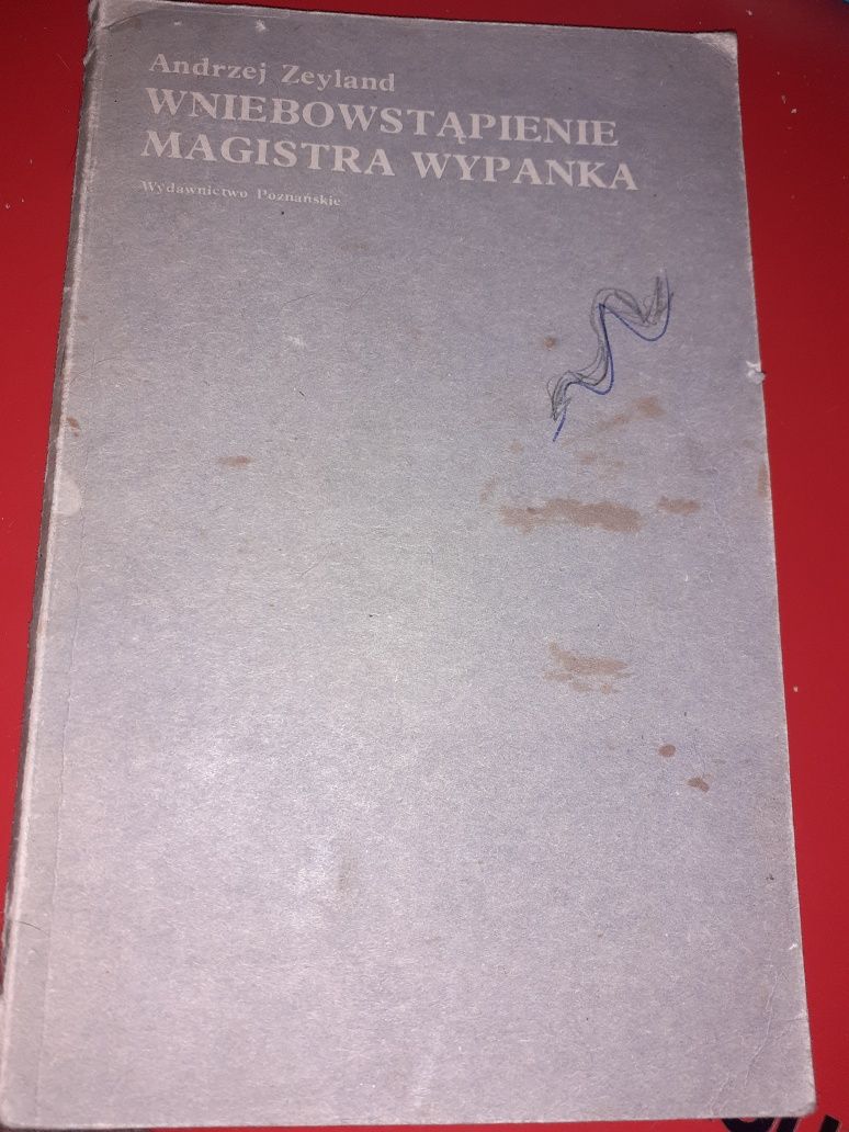 Wniebowstąpienie Magistra Wypanka - Andrzej Zeyland