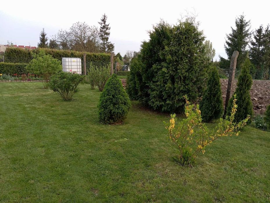 Sprzedam działkę ogrodową w miejscowości Olszewka