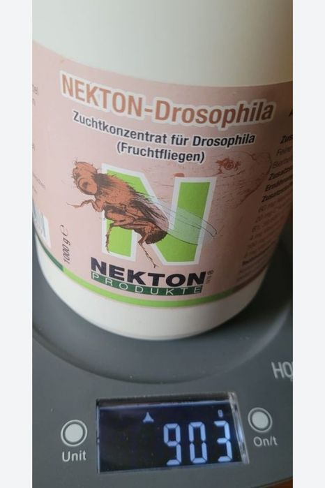 Muszki owocówki necton