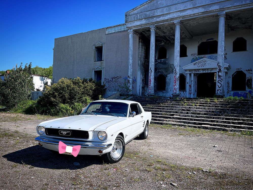 Samochód do ślubu Mustang 1966 Trójmiasto Pomorskie Auto Ślub Klasyk