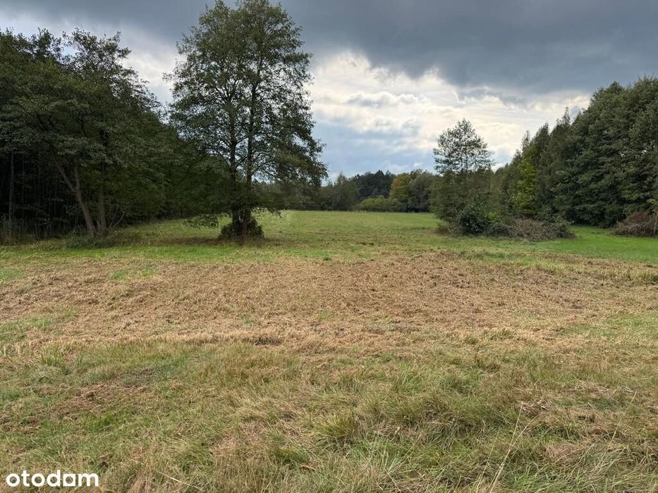 Piękna działka pod zabudowę.