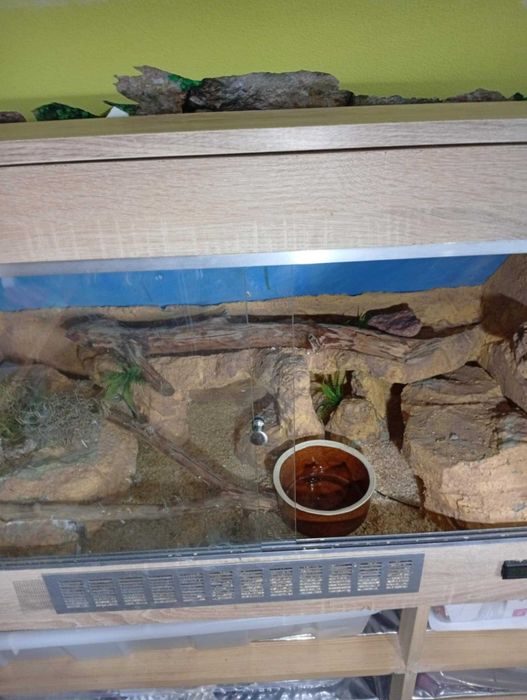 Dwa terraria na sprzedaż - przystosowane do skośnej ściany