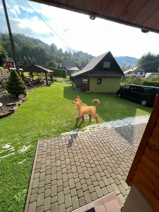 Domek w górach!