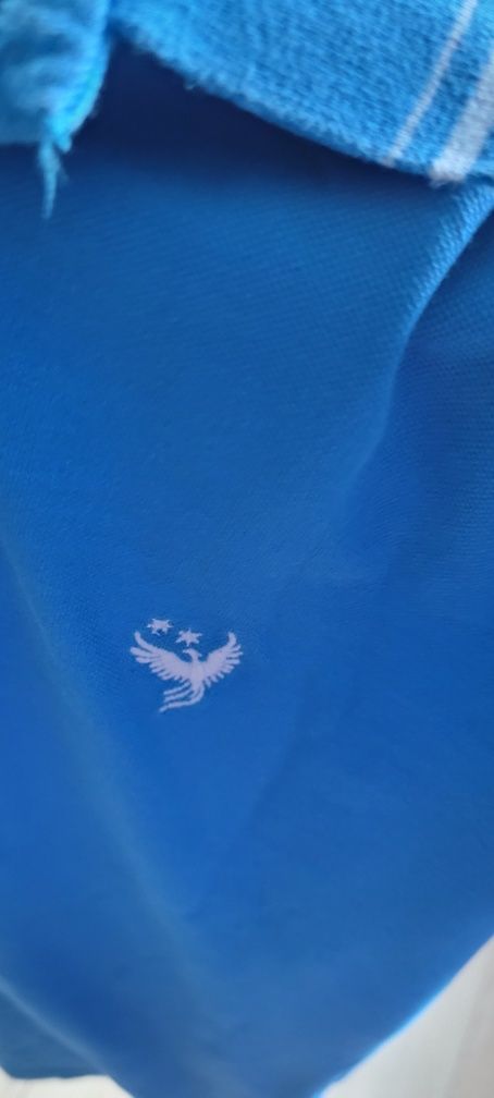 Koszulka polo męska niebieska Marki Bytom  100 procent bawełny