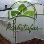 Estufas Caseiras