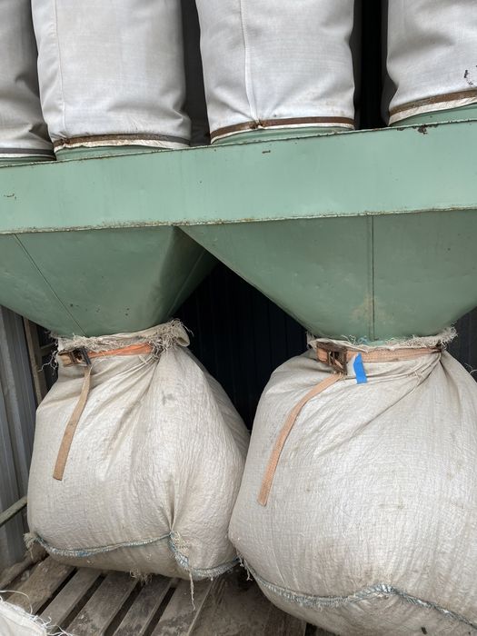 nawóz z wełna owcza do szklarni eko zamiast gnoju obornik uprawa