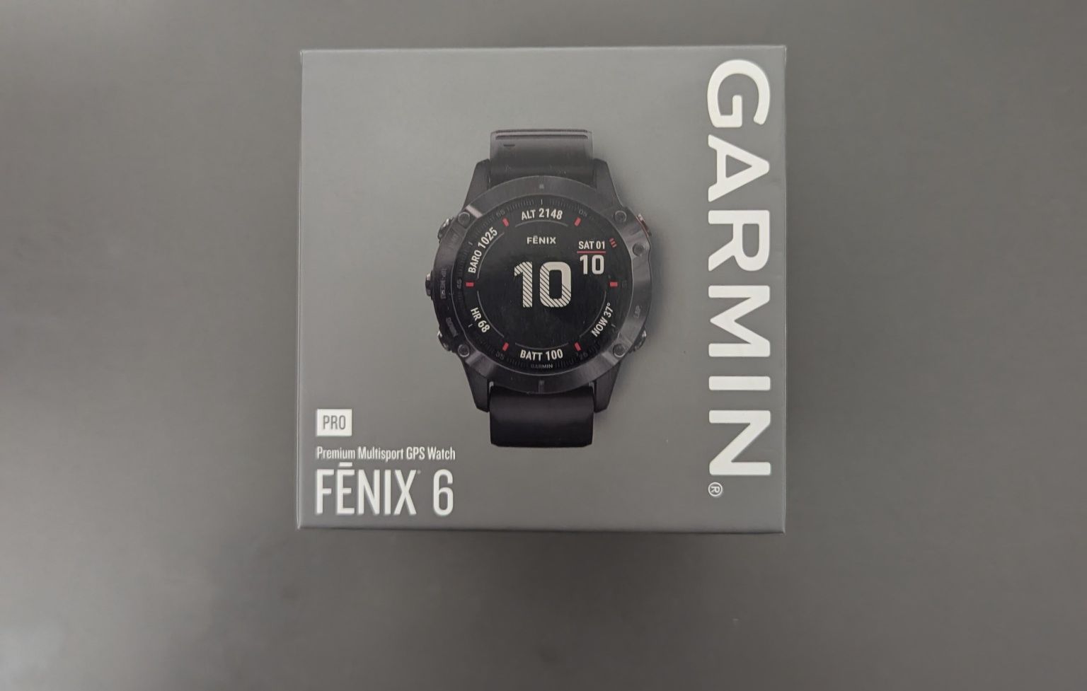 Garmin fenix 6 pro