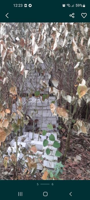 Продається цегла, біла, силікатна