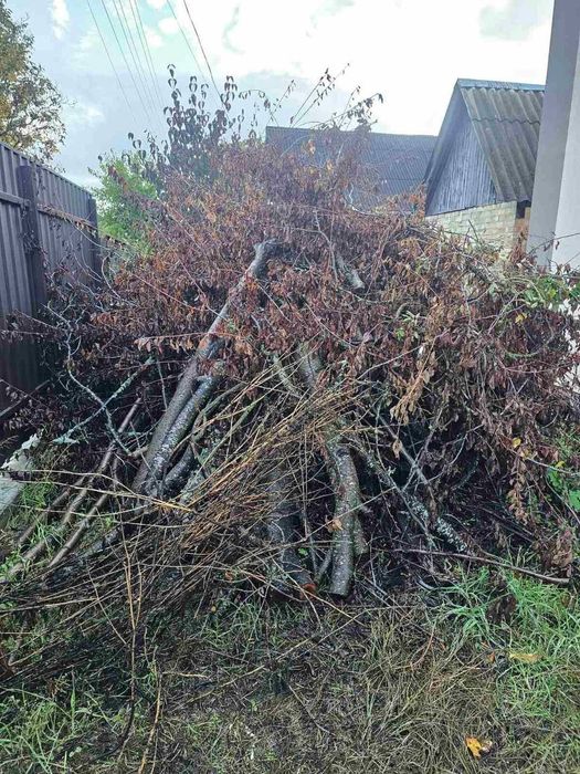 Благоустрий работы на участке  обрезка спил деревьев розчистка корчева